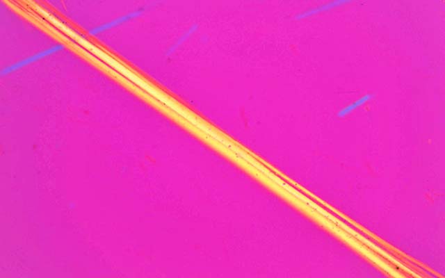 位相差/偏光顕微鏡写真 （アモサイト）