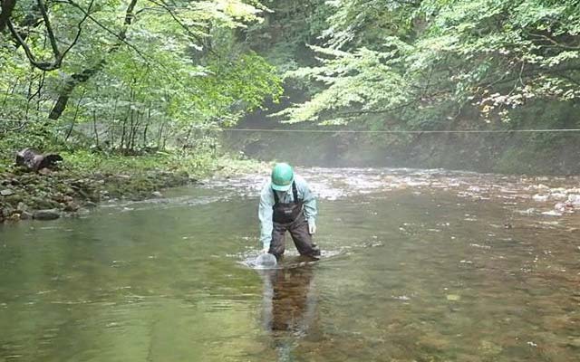 河川水のサンプリング